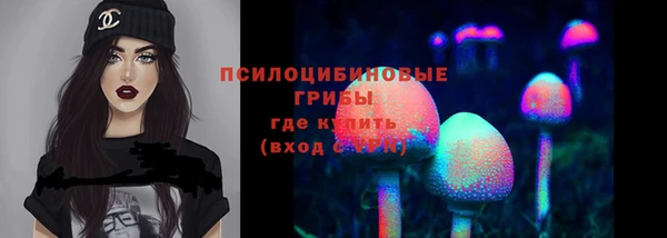первитин Анива