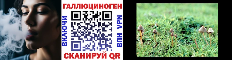hydra ссылки  купить закладку  Горбатов  Псилоцибиновые грибы мицелий 