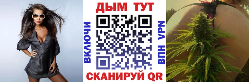 Конопля сатива  как найти закладки  мега ТОР  Горбатов 